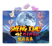 Sheng Xiao Bingo - BETPLAY138