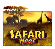 Joker123 : Safari Heat - BETPLAY138