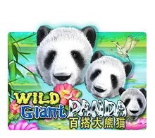 Joker123 : Wild Giant Panda - BETPLAY138