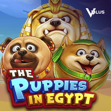 The Puppies In Egypt - BETPLAY138