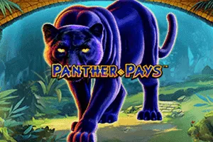 Panther Pays - BETPLAY138