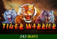 Spadegaming : Tiger Warrior - BETPLAY138