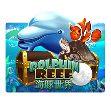 Joker123 : Dolphin Reef - BETPLAY138
