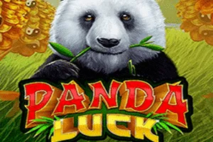 Panda Luck - BETPLAY138