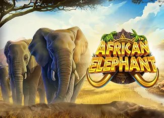 Pragmatic : African Elephant - BETPLAY138
